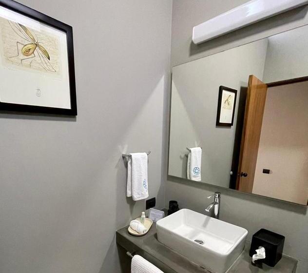 Номер Стандарт, Casa Olié