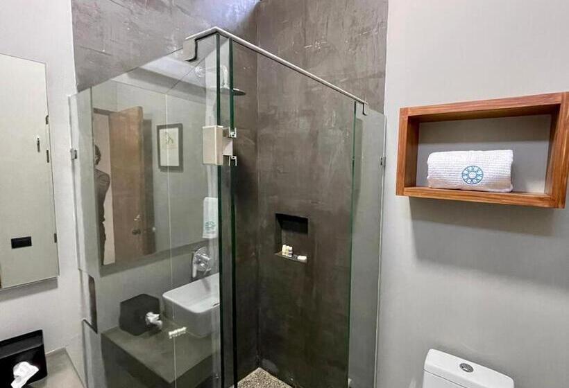 Номер Стандарт, Casa Olié