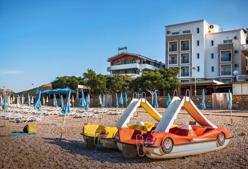 اتاق لوکس با بالکن و چشم‌انداز دریا, David Lux Beach Rooms