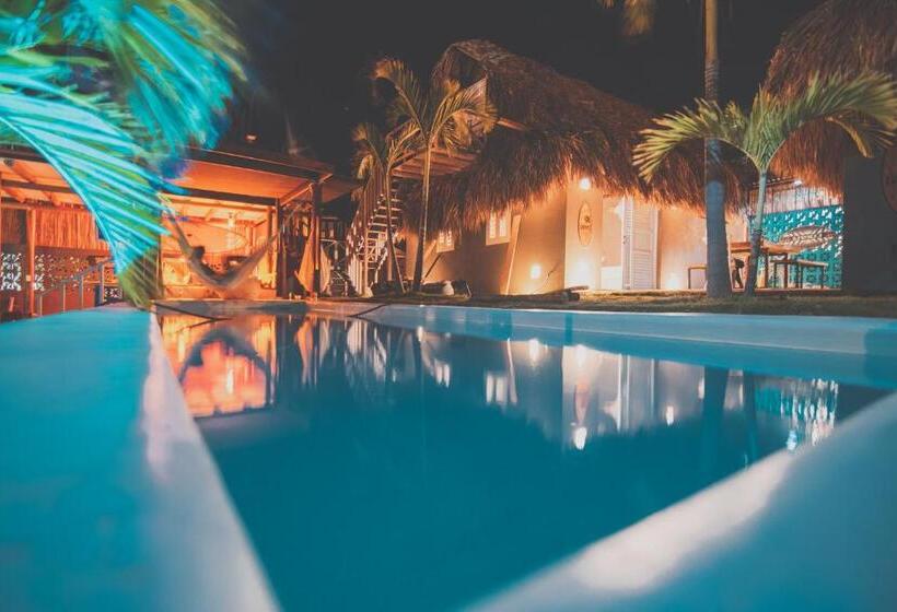 디럭스 방갈로, Kokohaubungalows