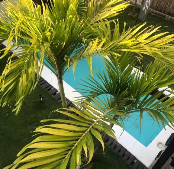 디럭스 방갈로, Kokohaubungalows