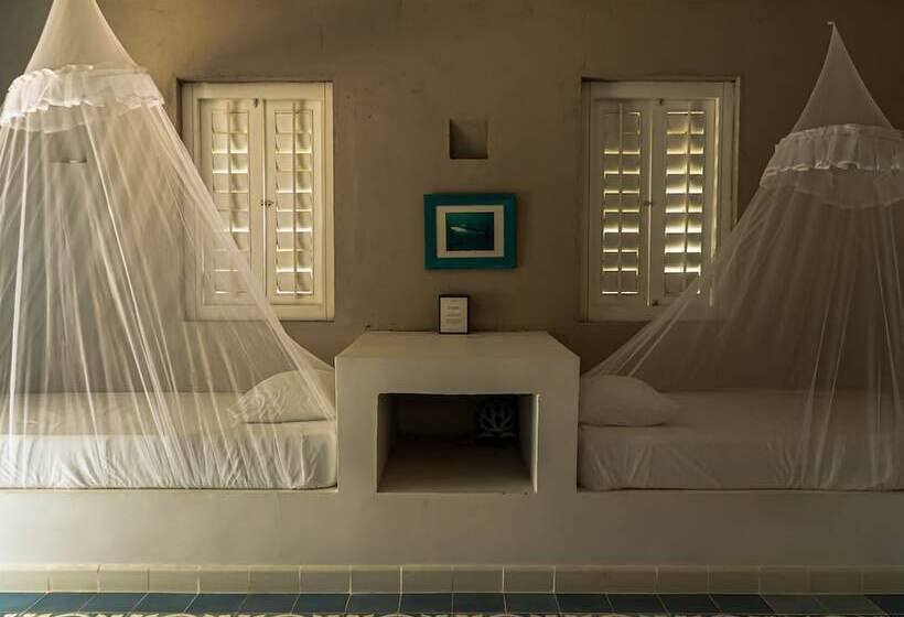 스탠다드 방갈로, Kokohaubungalows