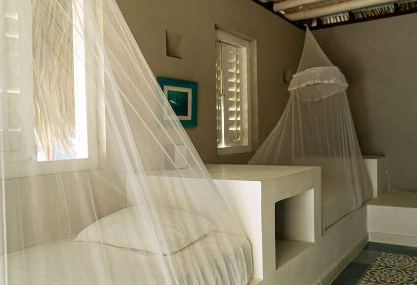 스탠다드 방갈로, Kokohaubungalows