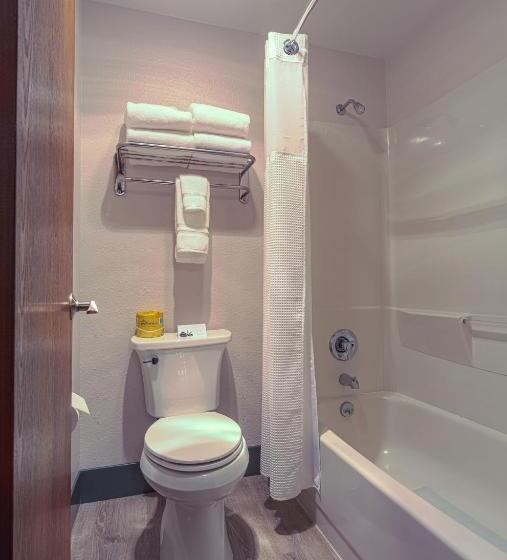 Номер Deluxe Кровать Кинг, Silver Inn