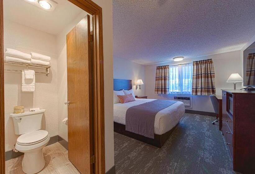 キングサイズベッドのデラックスルーム, Silver Inn