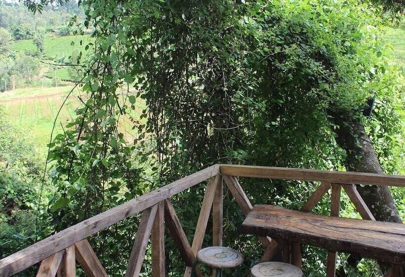 اتاق اجرایی, Theanabas Trout & Seafood Grill