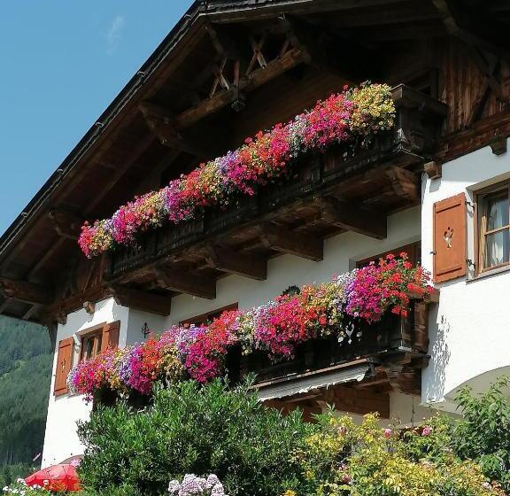 Студия Стандарт, Schottenhof