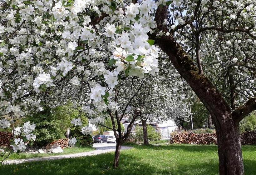 דירת חדר, Ferienwohnungen Veit