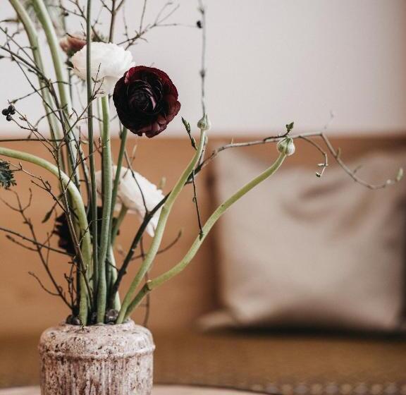 Номер Стандарт с Балконом, Almwellness Resort Tuffbad