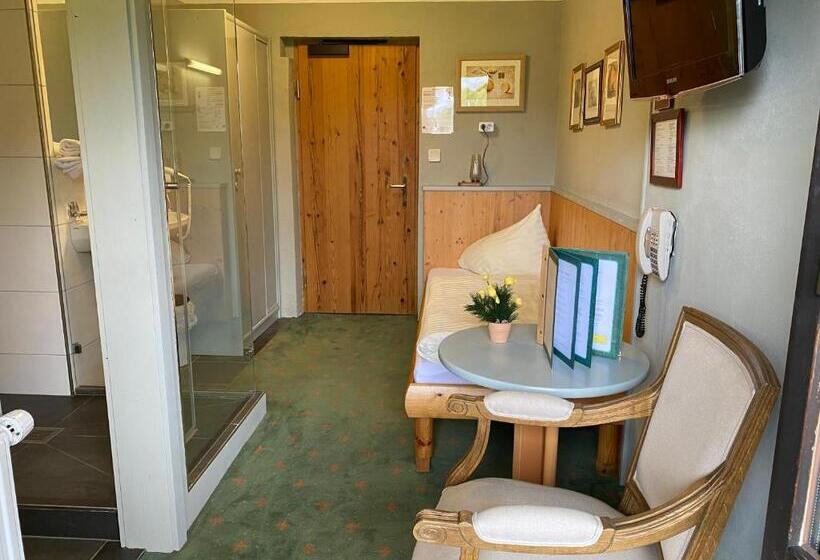 اتاق اکونومی یک تخته, Edelweiss Kitzbühel