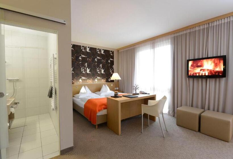 غرفة قياسية, Moserhof