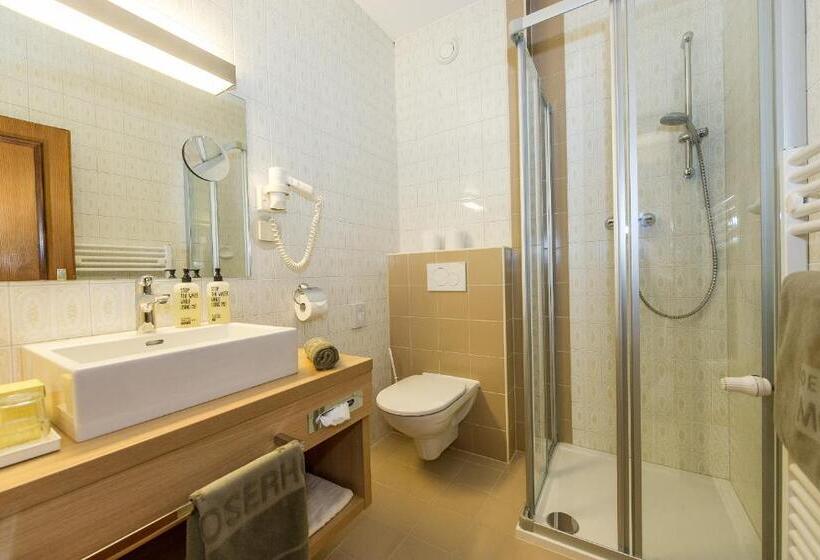 غرفة ديلوكس فردية, Moserhof