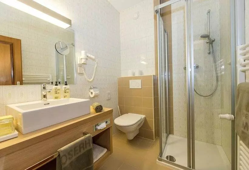 シングルデラックスルーム, Moserhof