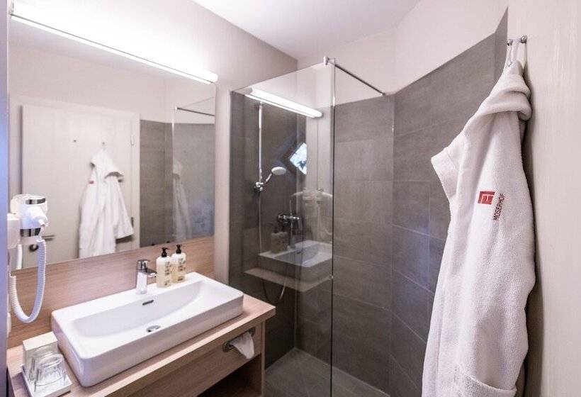 غرفة ديلوكس, Moserhof