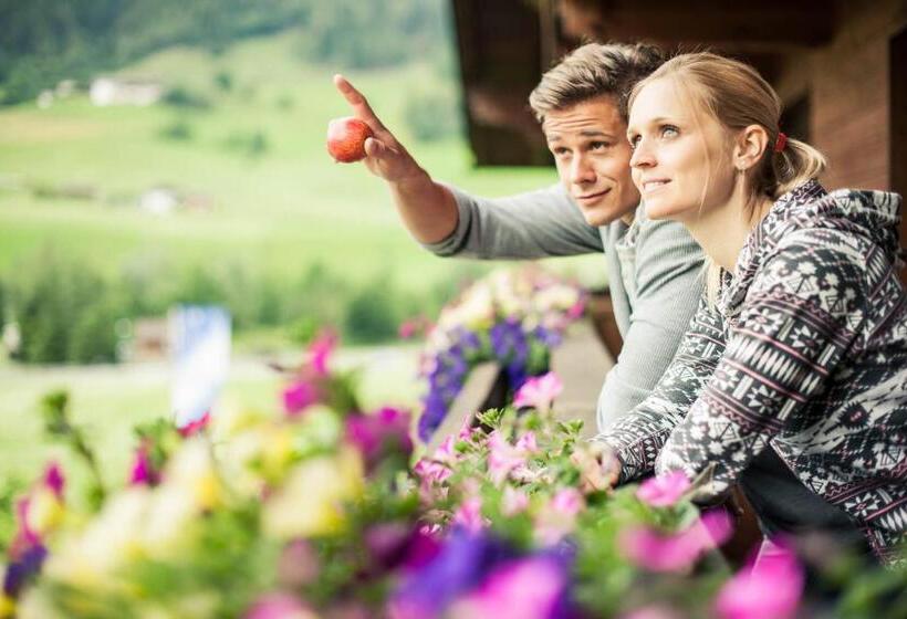 バルコニー付きスタンダードルーム, Steuxner