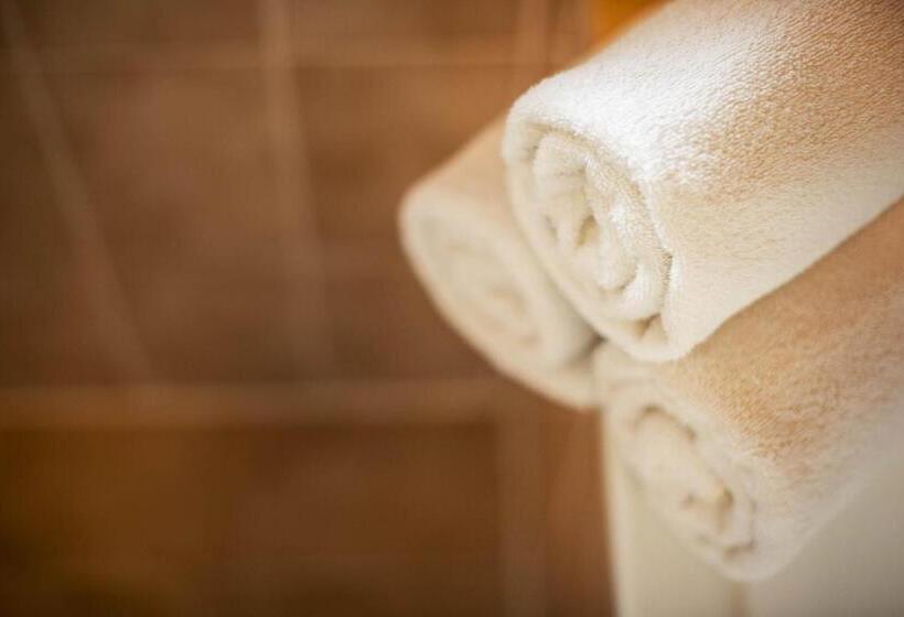 スタンダードトリプルルーム, Steuxner