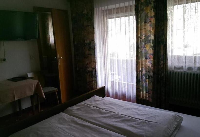 Camera Standard, Valisera