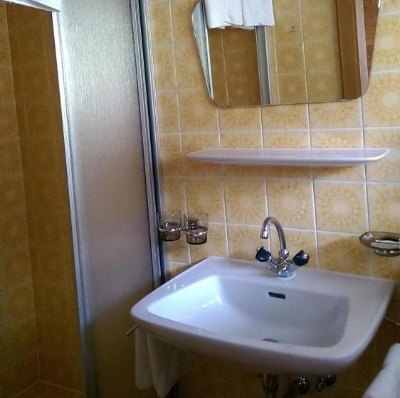 Camera Standard, Valisera