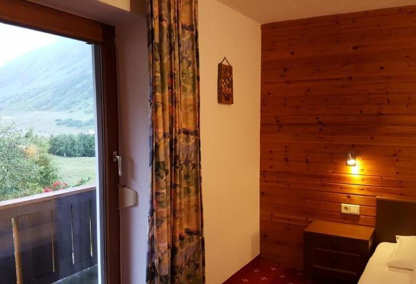 Camera Standard, Valisera