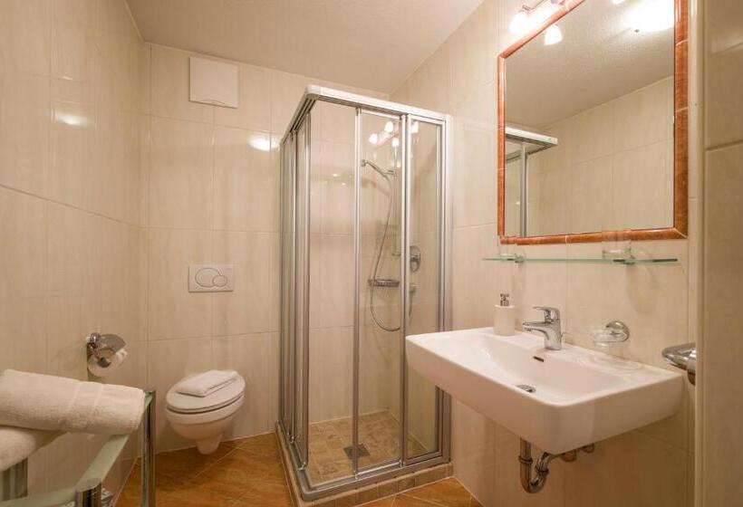 آپارتمان 1 خوابه, Landhaus Gasser