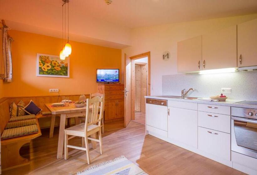 آپارتمان 1 خوابه, Landhaus Gasser