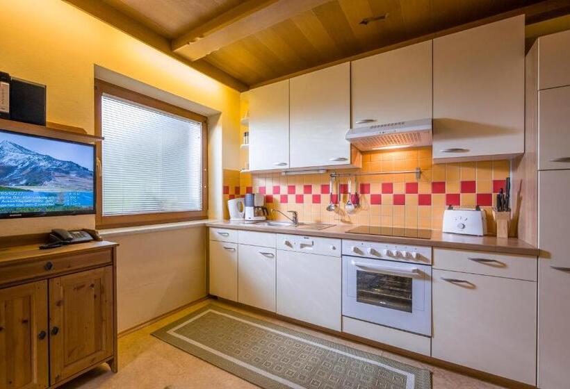 آپارتمان راحتی 1 خوابه, Landhaus Gasser