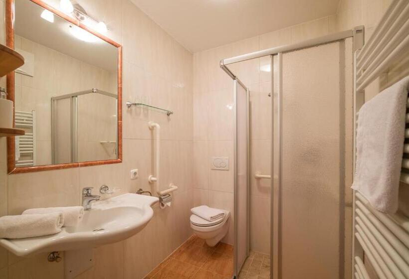 آپارتمان راحتی 1 خوابه, Landhaus Gasser