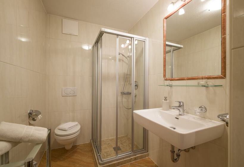 آپارتمان 1 خوابه, Landhaus Gasser