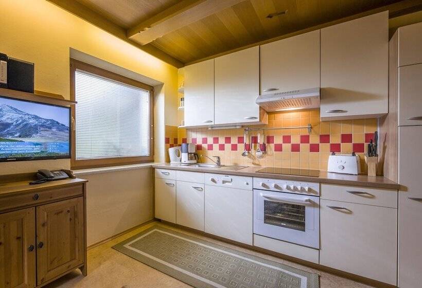 آپارتمان راحتی 1 خوابه, Landhaus Gasser