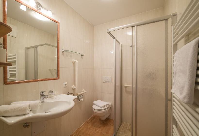 آپارتمان راحتی 1 خوابه, Landhaus Gasser