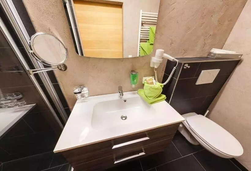 エコノミールーム, Natürlich Hotel Mit Charakter