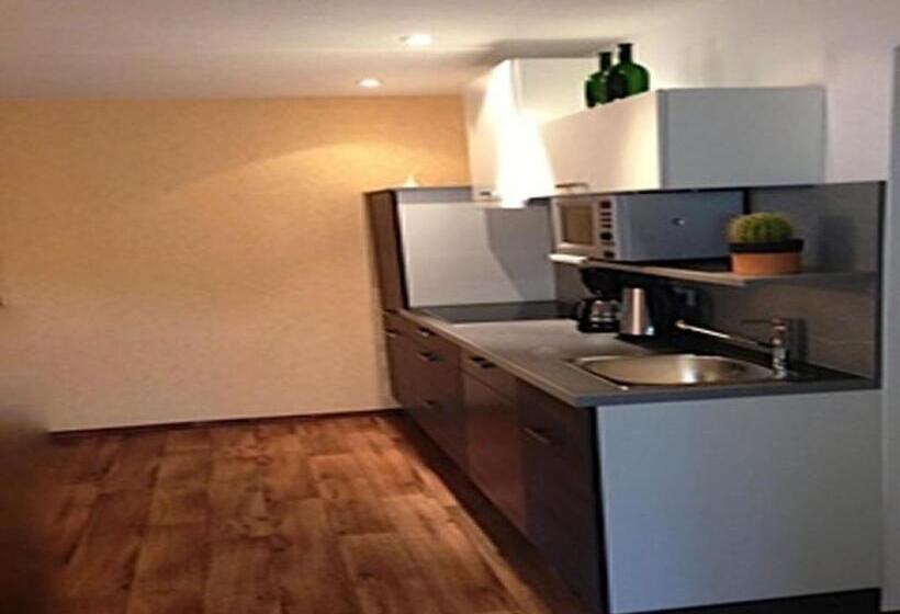 Апартаменты 1 Спальня, Appartements Gästehaus Schrott