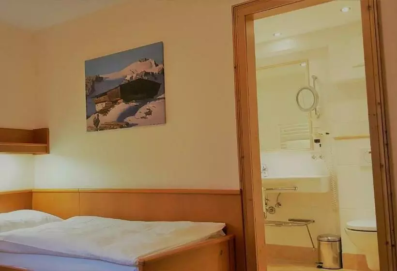اتاق استاندارد یک نفره, Eggerwirt Kitzbühel, Hotel & Restaurant