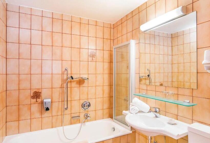 חדר סטנדרט, Sporthotel Pechtl