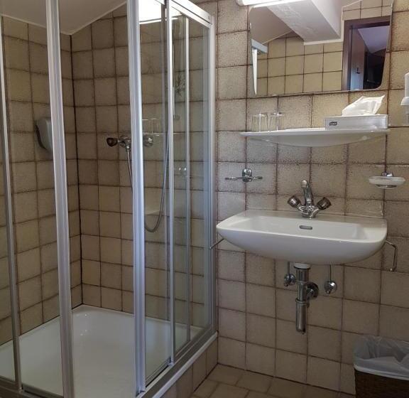 חדר סטנדרט יחיד, Sporthotel Pechtl