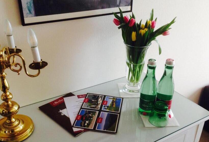 클래식 싱글 룸, Aloisia, Hotel Garni