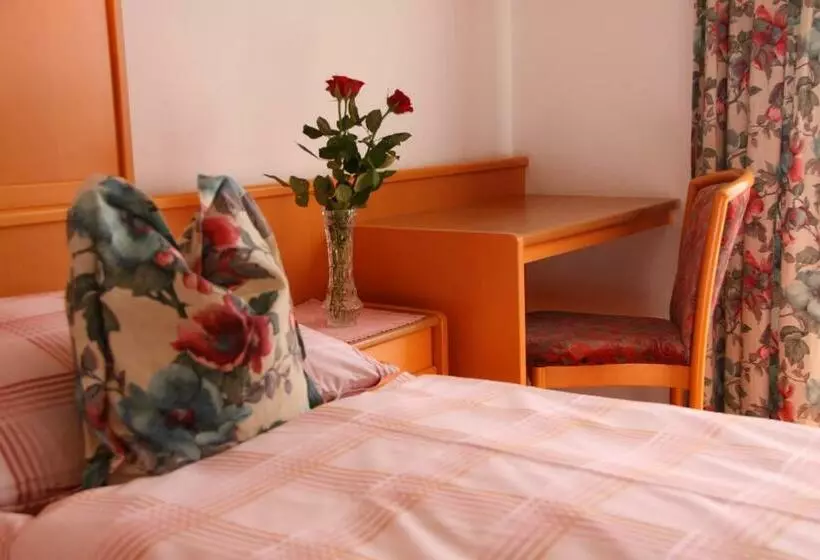 Deluxe-huone Järvinäkymä, Haus Seeschwalbe