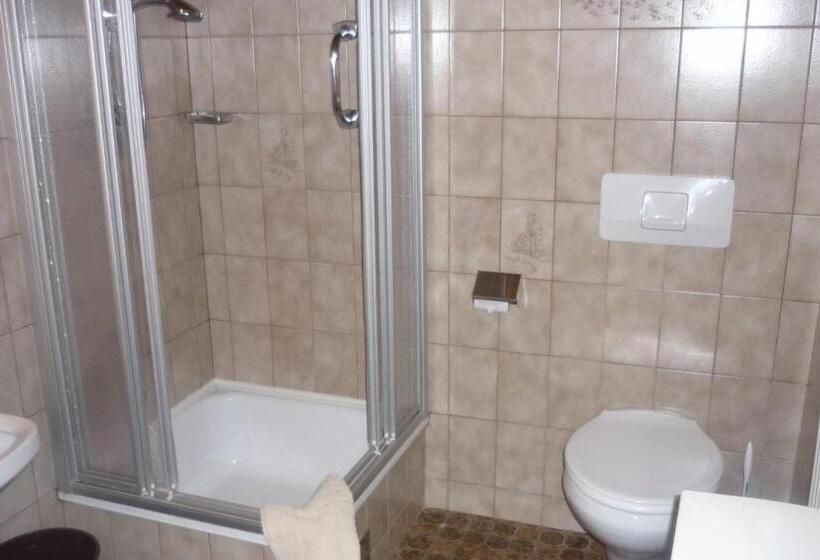 غرفة قياسية فردية, Pension Schierl