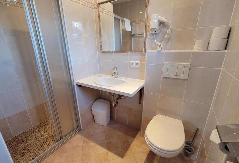 اتاق استاندارد, Ferienhotel Alpenhof
