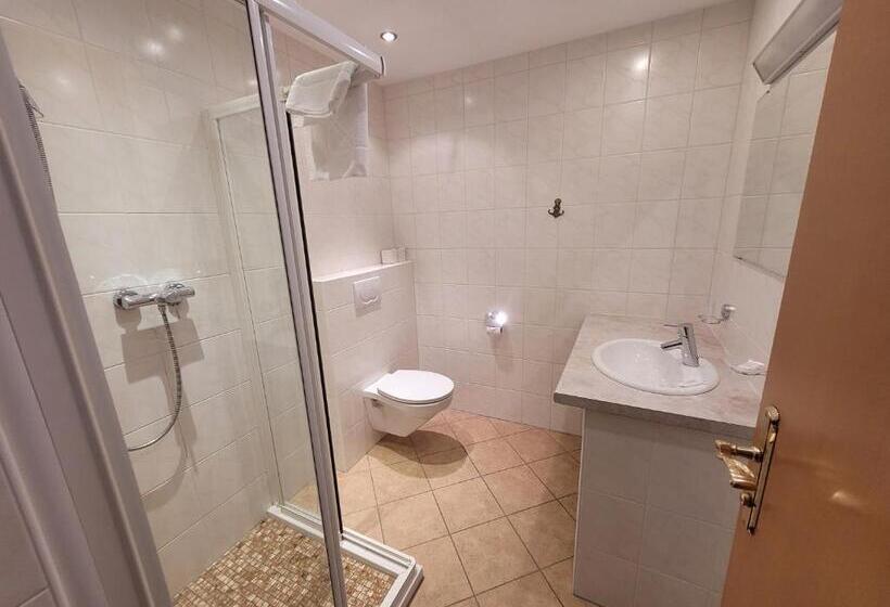 标准间带山景, Ferienhotel Alpenhof