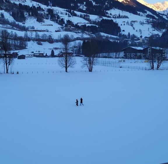 家庭小型套房, Ferienhotel Alpenhof