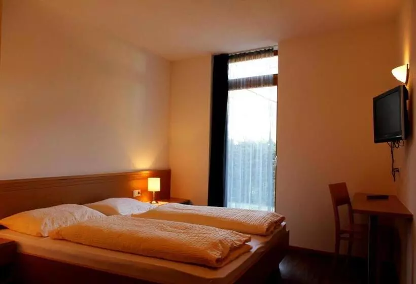 Economy-huone, Gasthof Residence Brugghof & Erlhof