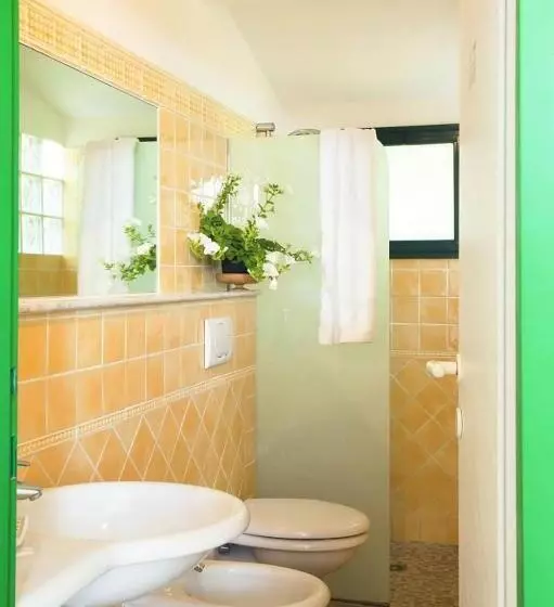 کلبه ییلاقی, Camping Village Rosselba Le Palme