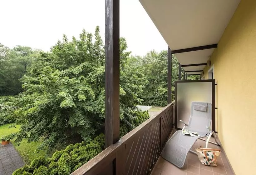 コンフォートシングルルーム, Parkhotel Zur Klause