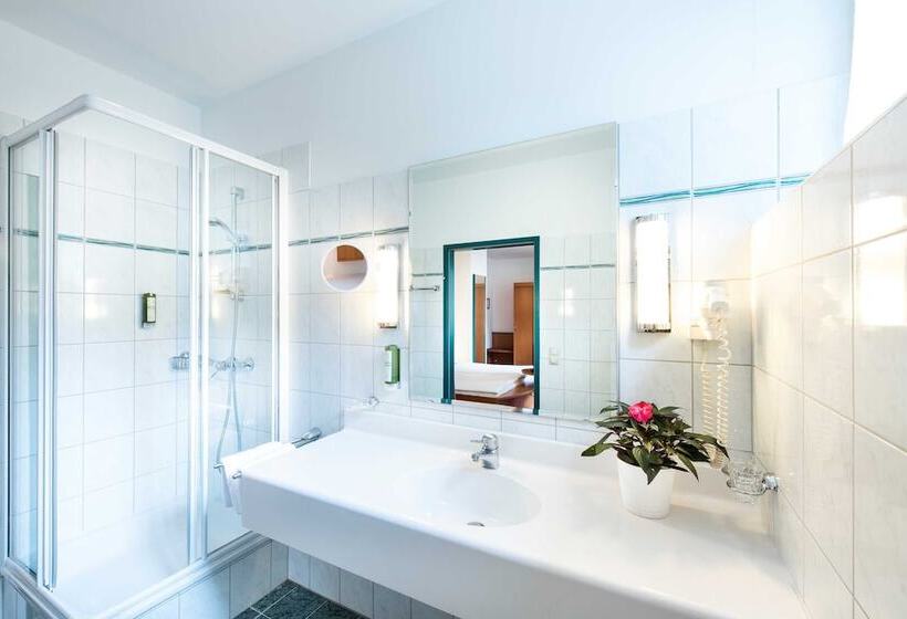 غرفة قياسية, Parkhotel Zur Klause