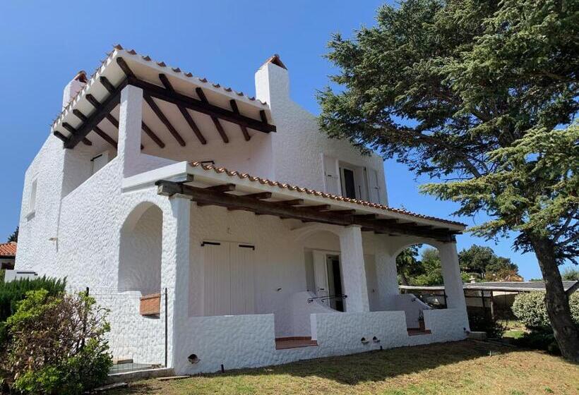 סטודיו סטנדרטי נוף לגינה, Punta Est