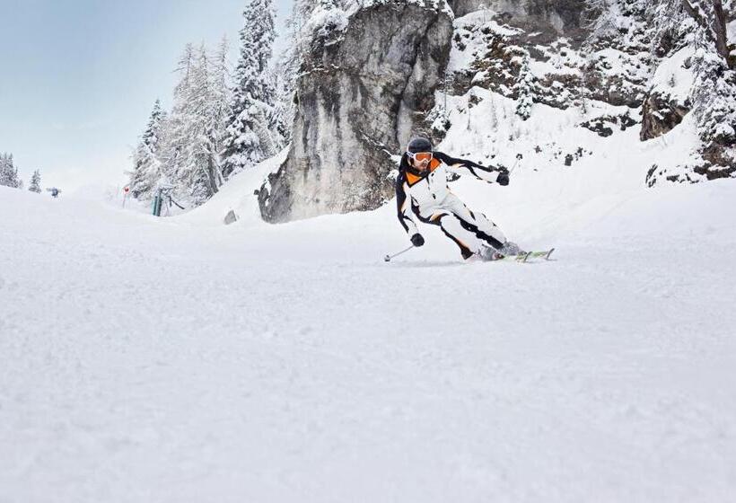 اتاق اکونومی, Robinson Schlanitzen Alm   Hermagor