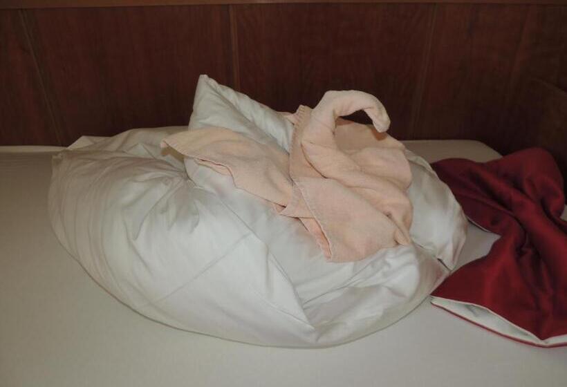 اتاق استاندارد یک نفره, See & Genusshotel Silvia