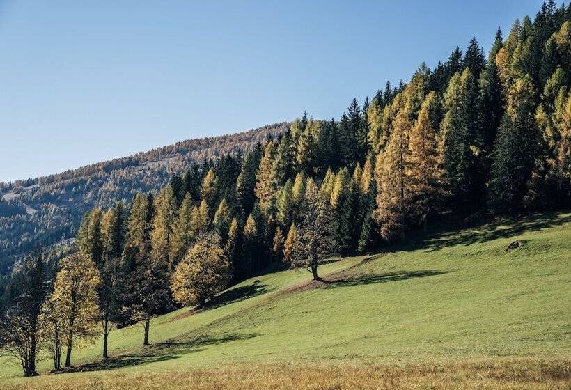 １ベッドルームアパートメント, Slow Travel Resort Kirchleitn   Oberkirchleitn