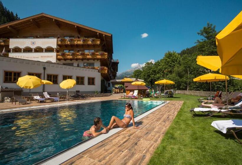 غرفة قياسية, Landhotel Alpenhof Filzmoos